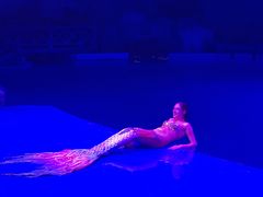 -芜湖新华联大白鲸海洋公园