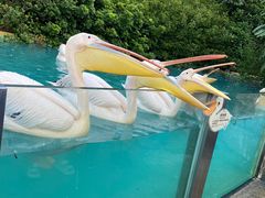 -珠海长隆海洋王国
