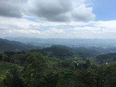 -紫鹊界梯田景区