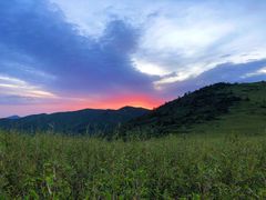 -秦岭风景区