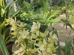 -国家植物园南园