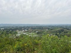 -冯小炒(巴渝大道店)