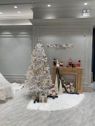 -MuseMarry婚纱(前海嘉里中心店)