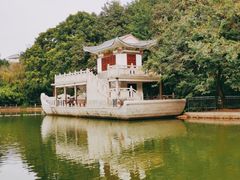-金花茶公园