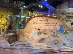 点击看大图 -奇幻萌宠部落(映月湖环宇城店)