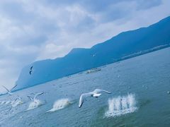 -海埂大坝