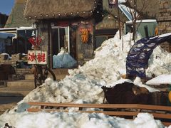 -烟墩角天鹅湖