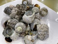 -红海湾豪记海鲜大排档