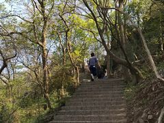 -紫金山索道-售票处