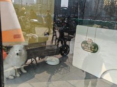 -派特宠物医院(圆融广场店)