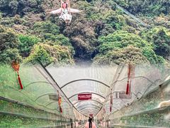 -南丹山森林王国
