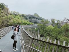 -金鸡山公园