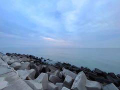 -东堤公园