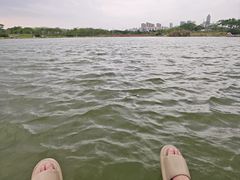 -天河体育中心游泳馆
