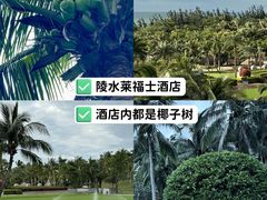 -海南清水湾莱佛士酒店