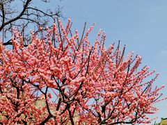 -北京明城墙遗址公园
