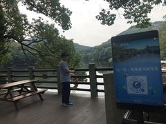 -白马涧龙池景区