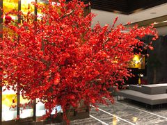 -上海新国际博览中心美仑酒店