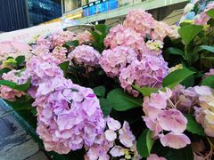 -HALO广场(梨园路店)