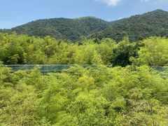 -陶祖圣境风景区