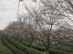 -凤凰沟景区