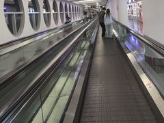 -厦门高崎国际机场-T3航站楼