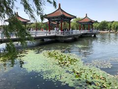 -长春市南湖公园