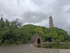 -江心屿景区