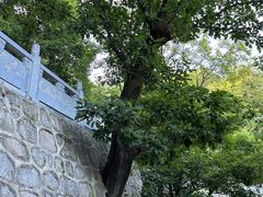 -终南山南五台景区