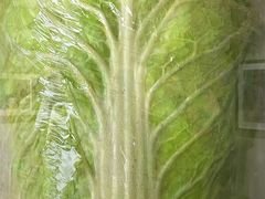 -上海虹桥当代艺术馆