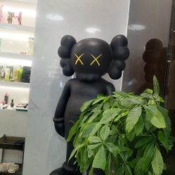 -AYO SALON