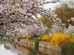 -海棠花溪(元大都城垣遗址公园)