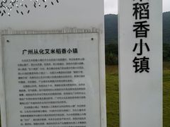 -艾米稻香小镇