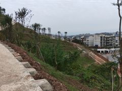 -翠屏公园