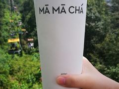 -MAMACHA妈妈茶(岳麓山店)