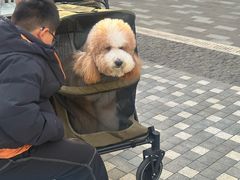 -比斯特上海购物村精品奥特莱斯
