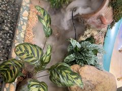 -相遇·川湘融合菜(丹阳吾悦广场店)