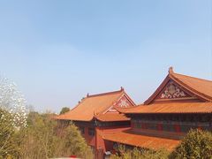 -开福禅寺