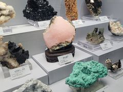 -湖南省地质博物馆