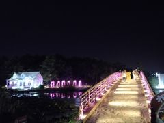 -大塘金香草谷