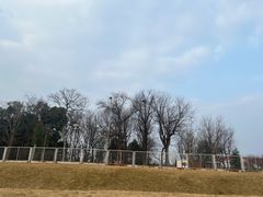 -国际非物质文化遗产博览园