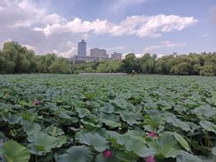 -长春市南湖公园