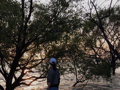 -宝安西湾红树林湿地公园