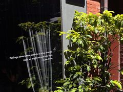 -Ocean's Table 欧舍