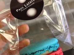 -PAUL LAFAYET 法式甜品(港汇广场店)