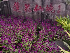 -广州莲花山旅游区
