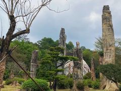 -深圳仙湖植物园