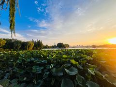 -济南大明湖景区