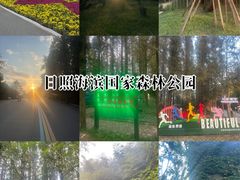 -日照海滨国家森林公园