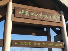 -呼兰河口湿地公园